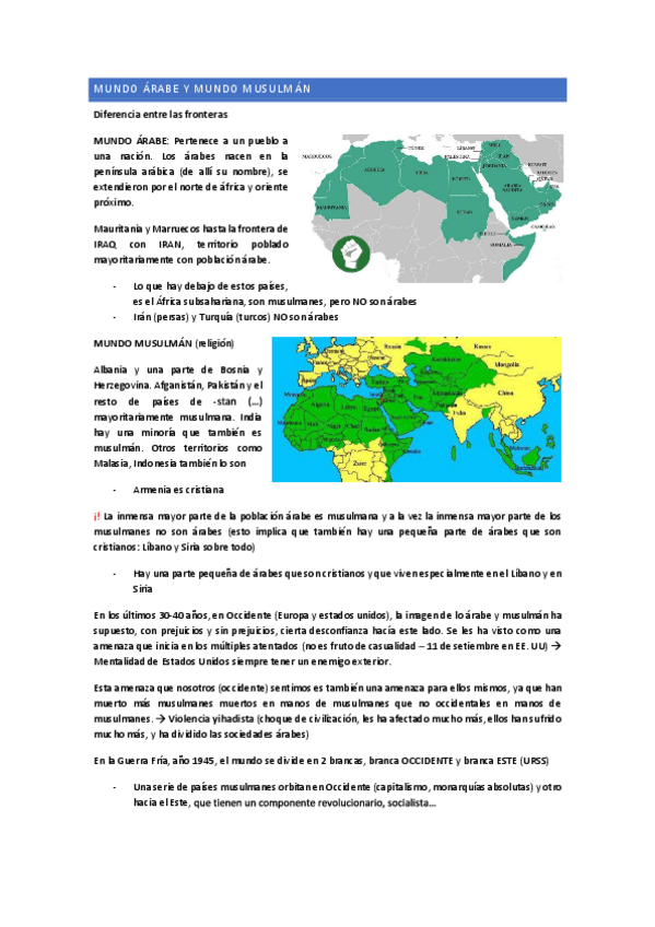 Miniatura del documento AFEPI-Mundo-Arabe-y-Musulman.pdf