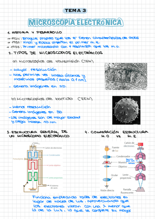 Miniatura del documento T3.Biologia.celular.pdf