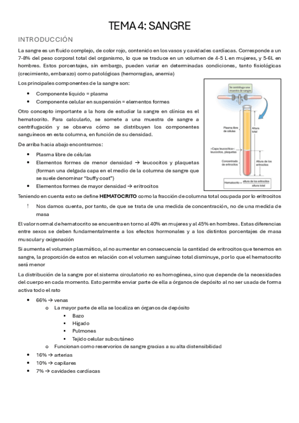 Miniatura del documento sangre-fisio-arce.pdf