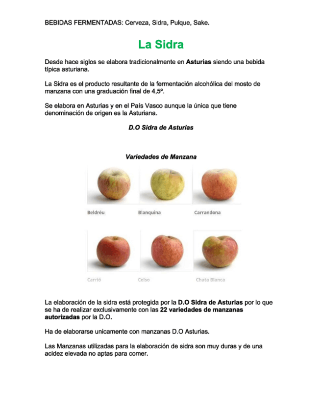 Miniatura del documento Sidra-Pulke-y-Sake.pdf