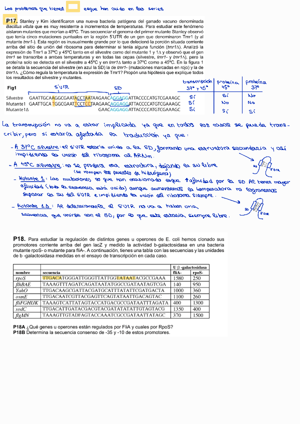 Miniatura del documento Serie-problemas-genetica.pdf