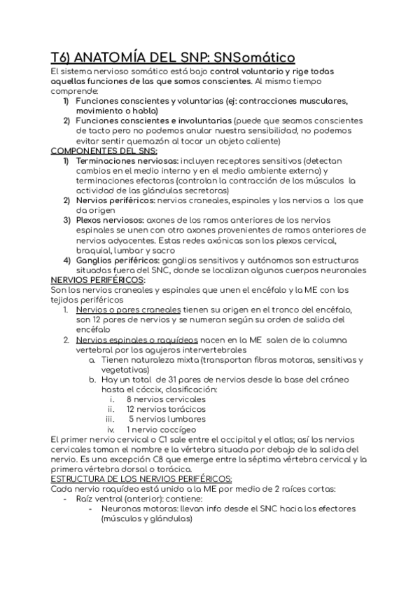 Miniatura del documento T6-ANASTOMIA-DEL-SNP-SNSomatico.pdf