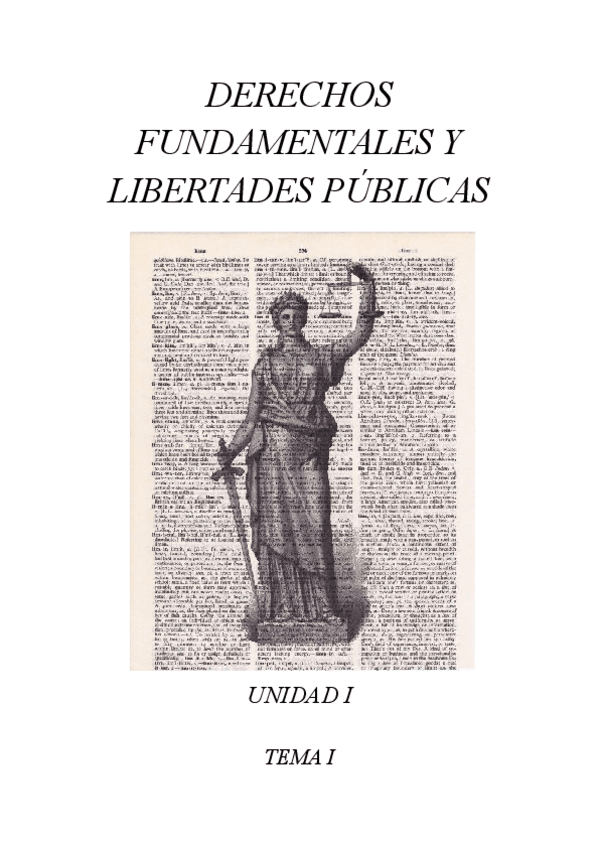 Miniatura del documento DERECHOS-FUNDAMENTALES-Y-LIBERTADES-PUBLICAS.pdf