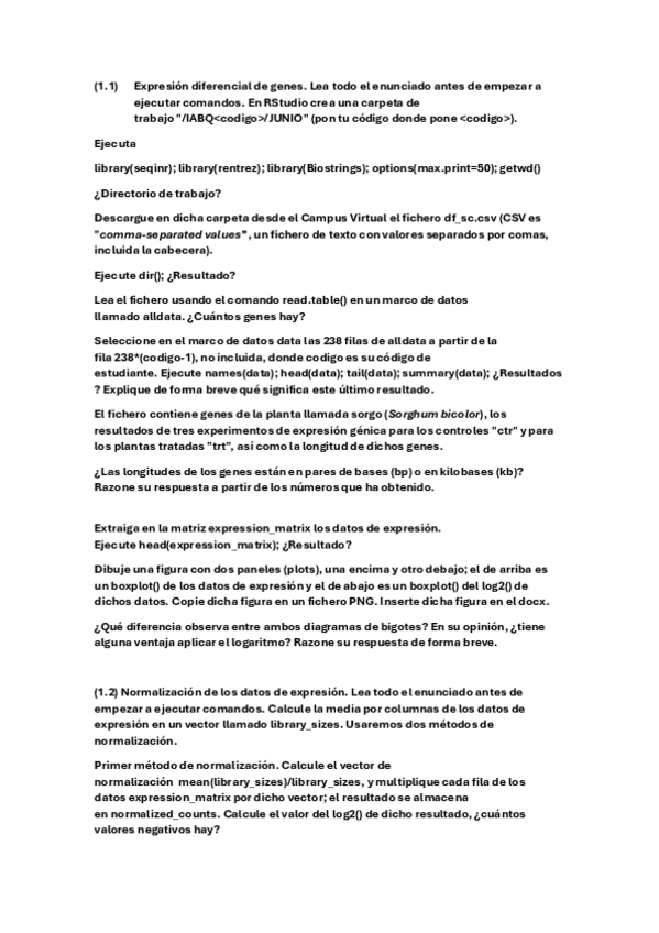 Miniatura del documento examen-junio-2025.pdf