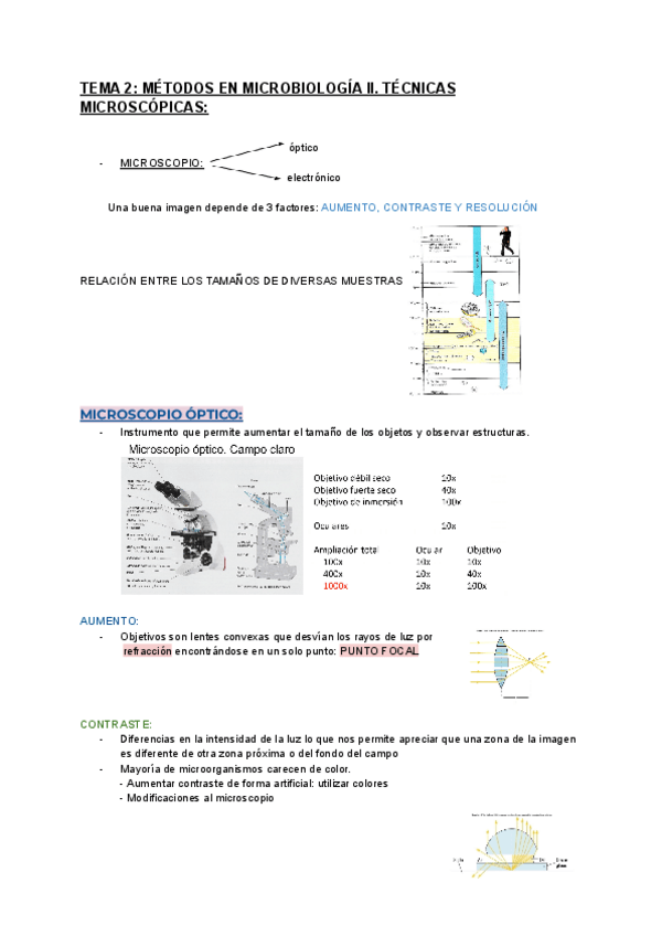 Miniatura del documento TEMA-2-METODOS-EN-MICROBIOLOGIA-II.pdf