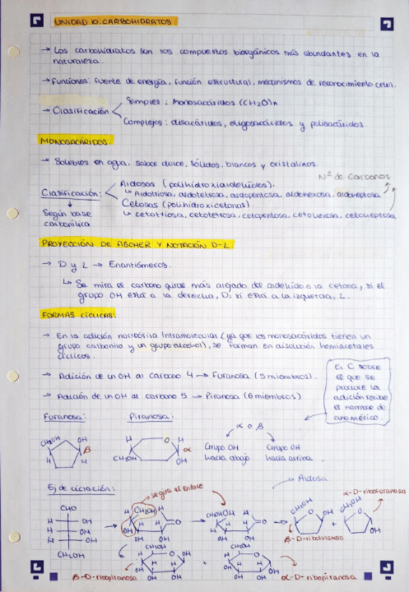 Miniatura del documento UNIDAD-10.pdf