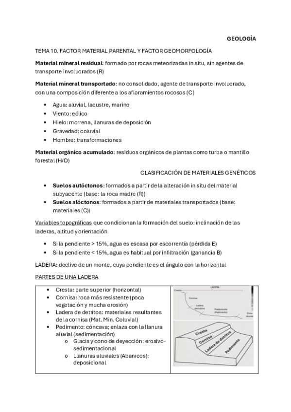 Miniatura del documento TEMA-10.-FACTOR-MATERIAL-PARENTAL-Y-FACTOR-GEOMORFOLOGIA.pdf
