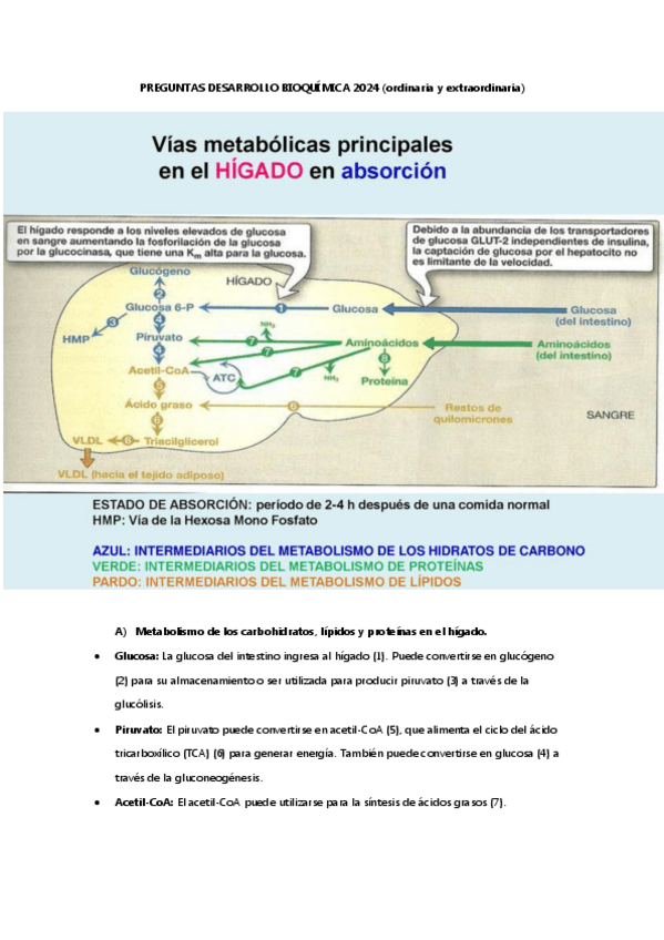 Miniatura del documento desarrollo-BQ-2024.pdf