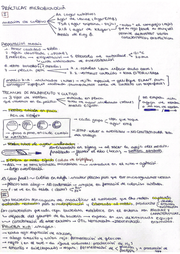 Miniatura del documento Practicas-laboratorio-primer-cuatri.pdf