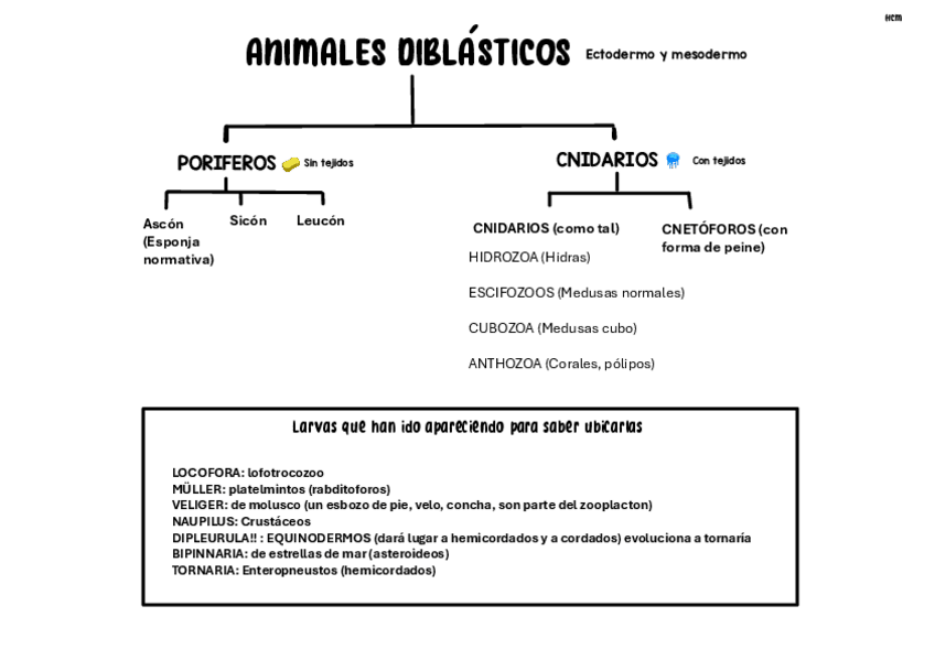 Miniatura del documento Esquema-Zoologia-Clasificacion.pdf