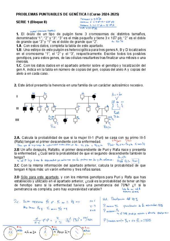 Miniatura del documento Serie-1-bloque-II-2024.pdf