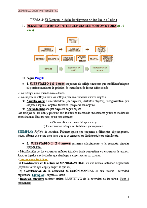 Miniatura del documento TEMA-3-El-Desarrollo-de-la-Inteligencia-de-los-0-a-los-2-anos-1.pdf
