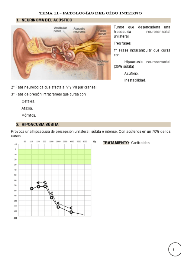 Miniatura del documento Tema-11-Patologias-del-oido-interno.pdf