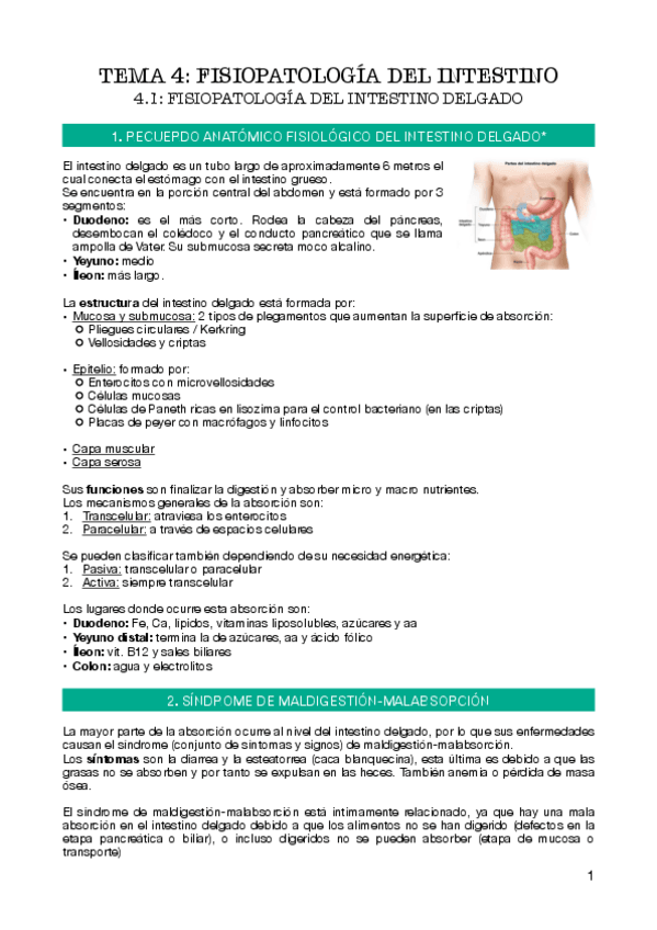 Miniatura del documento tema-4.pdf