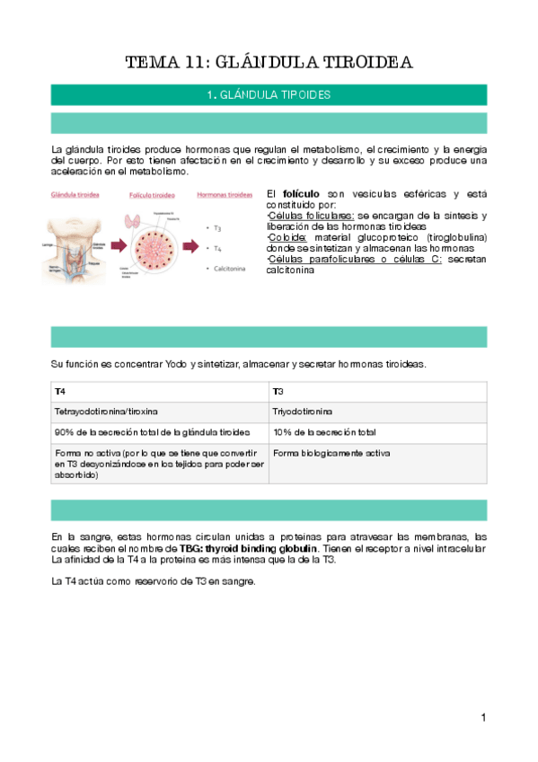 Miniatura del documento tema-11.pdf