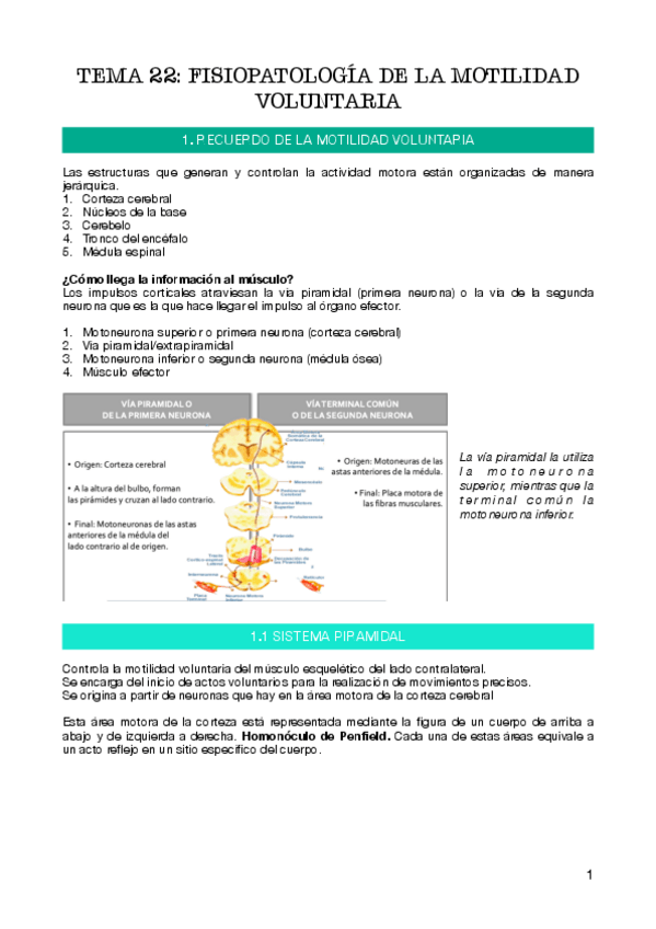 Miniatura del documento tema-22.pdf