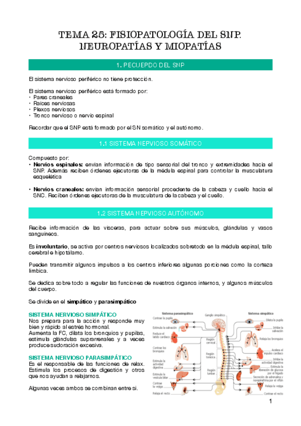 Miniatura del documento tema-25.pdf