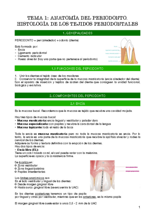 Miniatura del documento tema-1.pdf