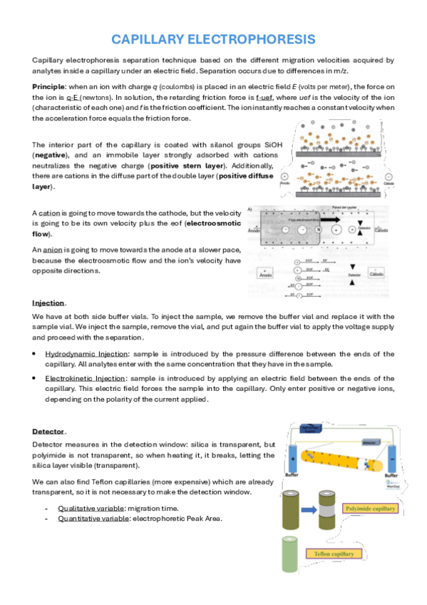 Miniatura del documento Apuntes-Topic-12.pdf