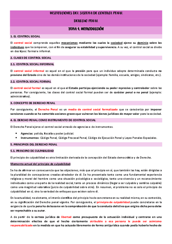 Miniatura del documento Apuntes-Instituciones-del-Sistema-del-Control-Penal.pdf