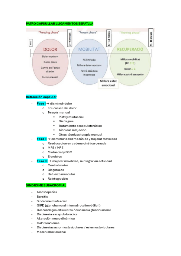 Miniatura del documento RESUMEN-FECLAL-II-NOELIA-2025.pdf