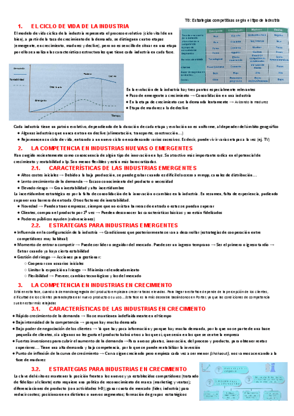 Miniatura del documento T8-Estrategias-competitivas-segun-el-tipo-de-industria.pdf