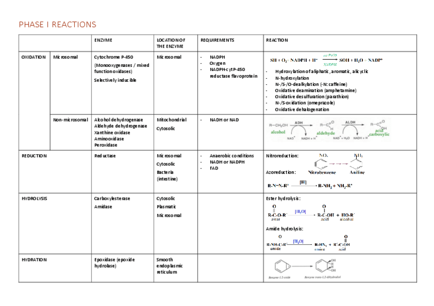 Miniatura del documento toxi-tabla-phase-I-and-II-reactions-T.-4.pdf