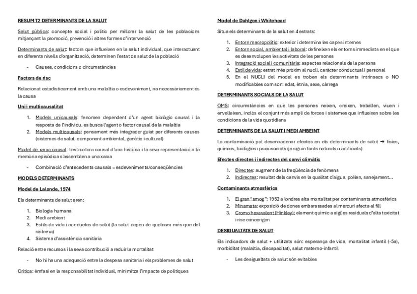 Miniatura del documento RESUM-T2-DETERMINANTS-DE-LA-SALUT.pdf