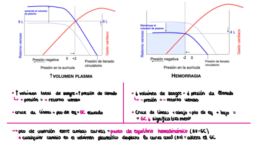 Miniatura del documento RV-Y-GC-ante-Cambios-De-V.pdf