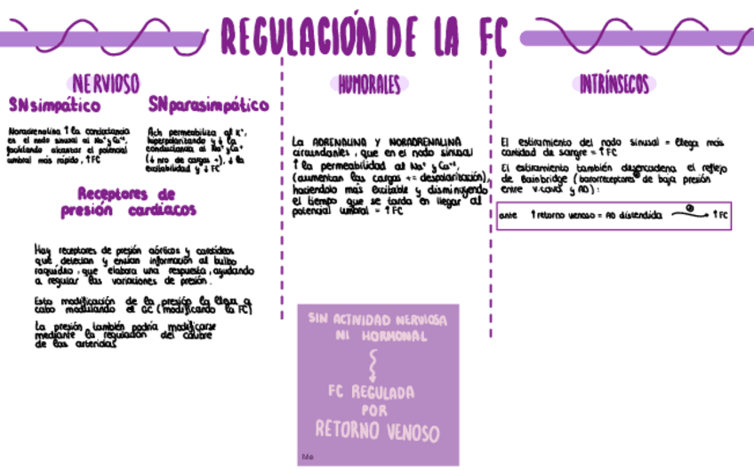 Miniatura del documento Regulacion-De-La-Frecuencia-Cardiaca.pdf