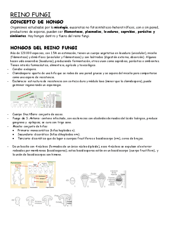 Miniatura del documento TEMA-26-27-28-BF.pdf
