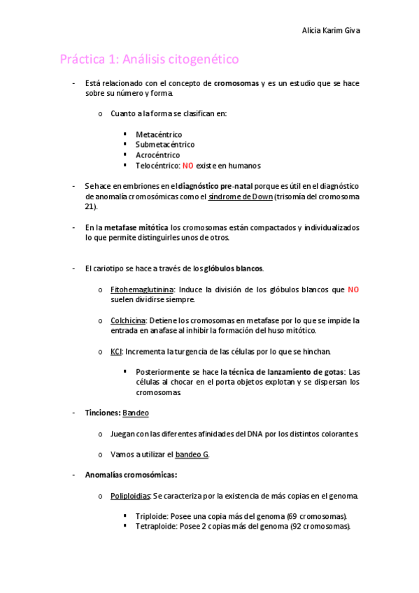 Miniatura del documento Practica-1.pdf