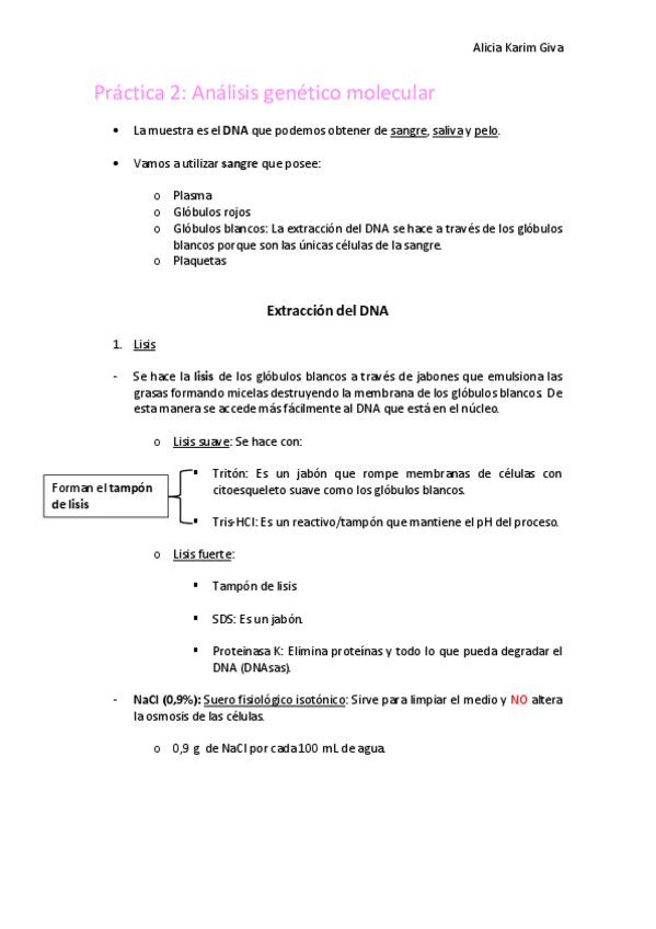 Miniatura del documento Practica-2.pdf