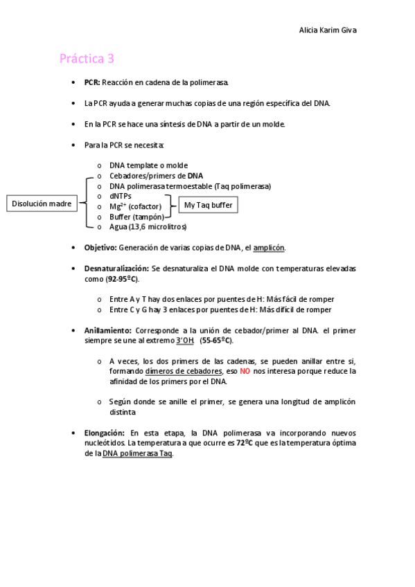 Miniatura del documento Practica-3.pdf