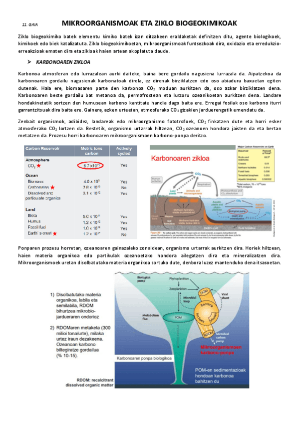 Miniatura del documento 11.-Mikroorganismoak-eta-ziklo-biogeokimikoak.pdf