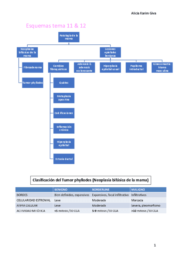 Miniatura del documento Esquemas-tema-11-and-12.pdf