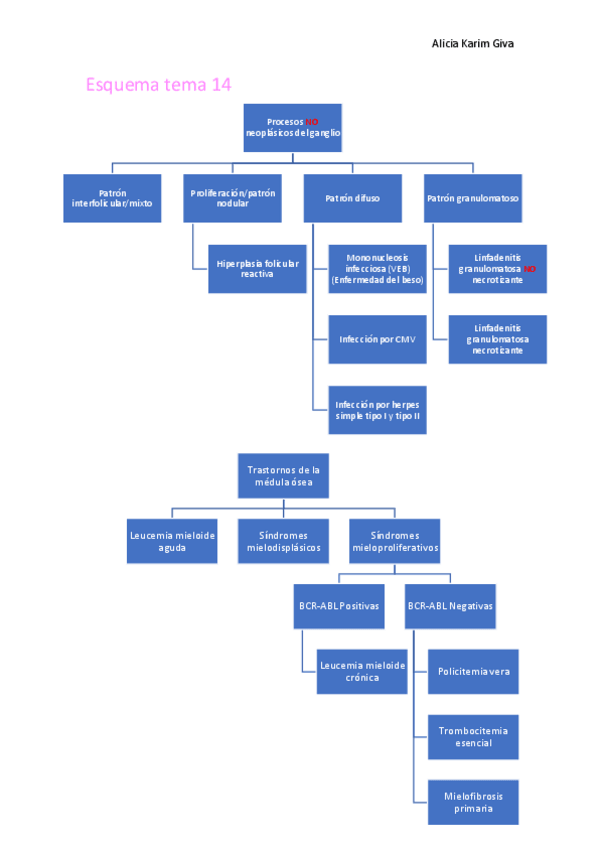 Miniatura del documento Esquema-tema-14.pdf