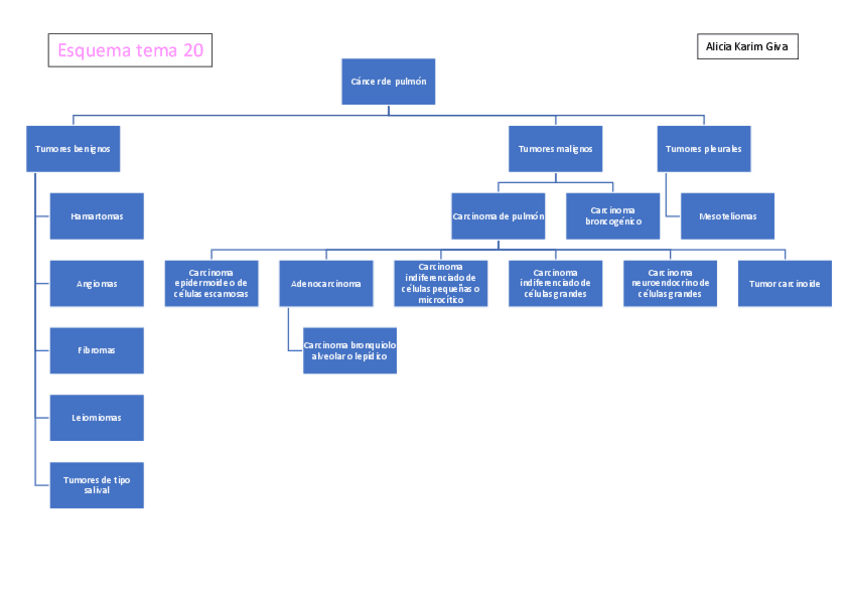Miniatura del documento Esquema-tema-20.pdf