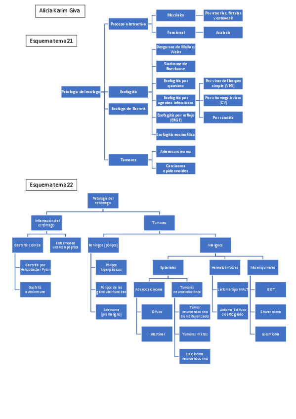 Miniatura del documento Esquemas-temas-21-22-23-y-24.pdf