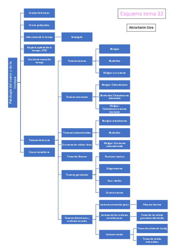 Miniatura del documento Esquema-tema-32.pdf