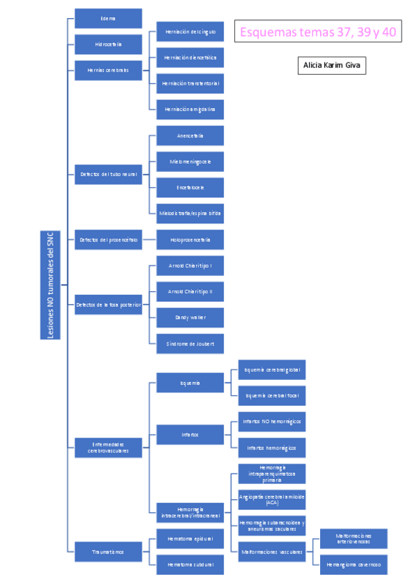 Miniatura del documento Esquemas-temas-37-39-y-40.pdf