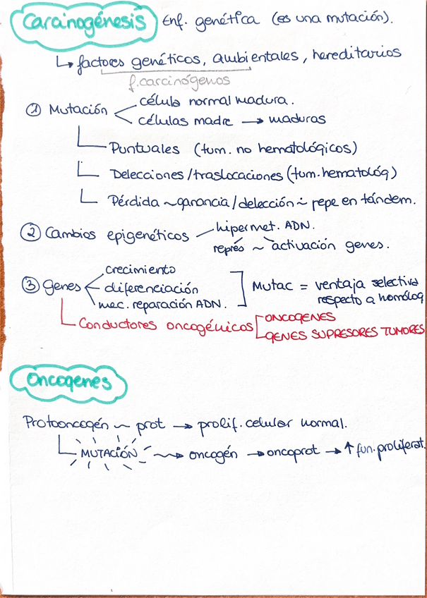 Miniatura del documento Capitulo-10.-Carcinogenesis-oncogenesis-y-lesiones-genes.pdf