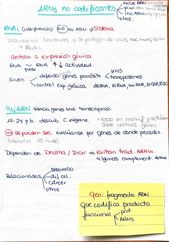 Miniatura del documento Esquema-ARN-no-codificantes.pdf