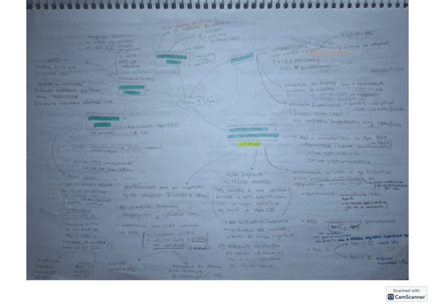 Miniatura del documento T9-bioq-clinica.pdf