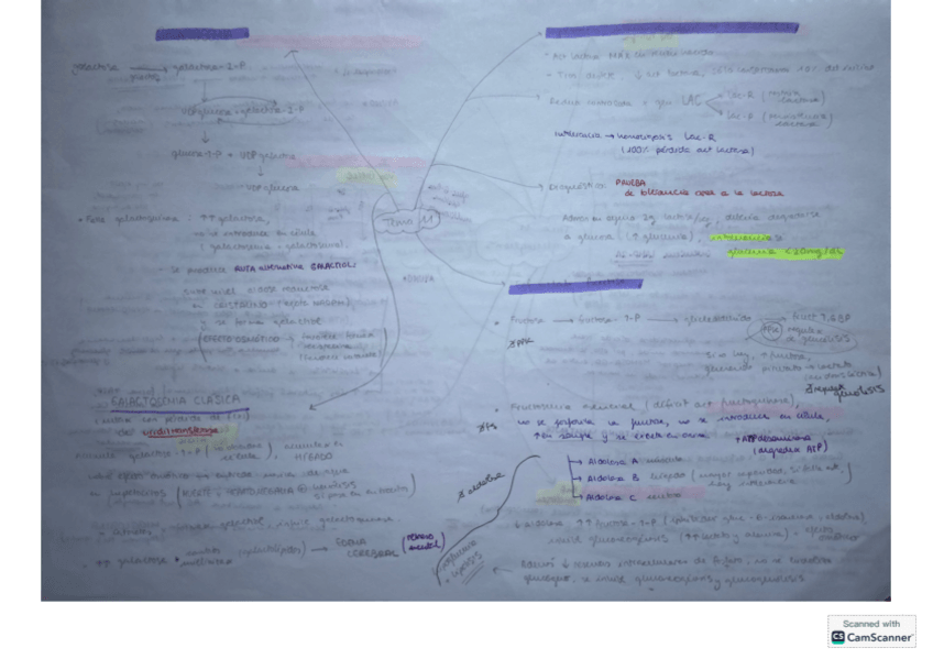 Miniatura del documento T11-bioq-clinica.pdf