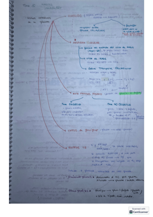 Miniatura del documento T10-bioq-clinica.pdf