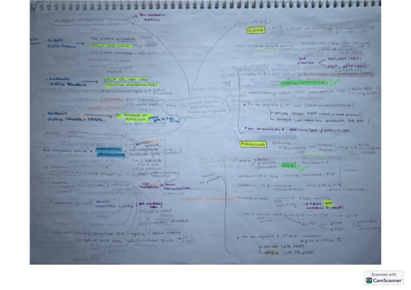 Miniatura del documento T13-bioq-clinica.pdf