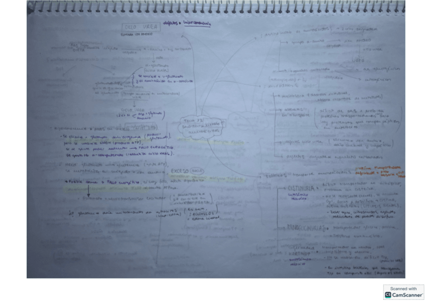 Miniatura del documento T12-bioq-clinica.pdf