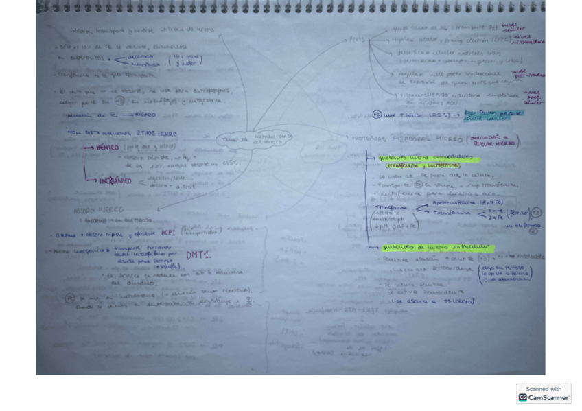 Miniatura del documento T16-bioq-clinica.pdf