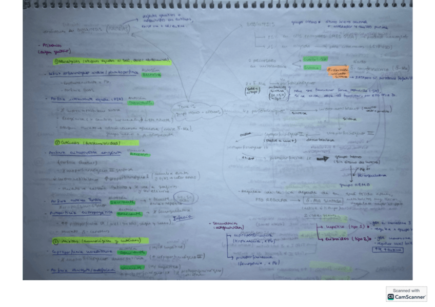 Miniatura del documento T15-bioq-clinica.pdf